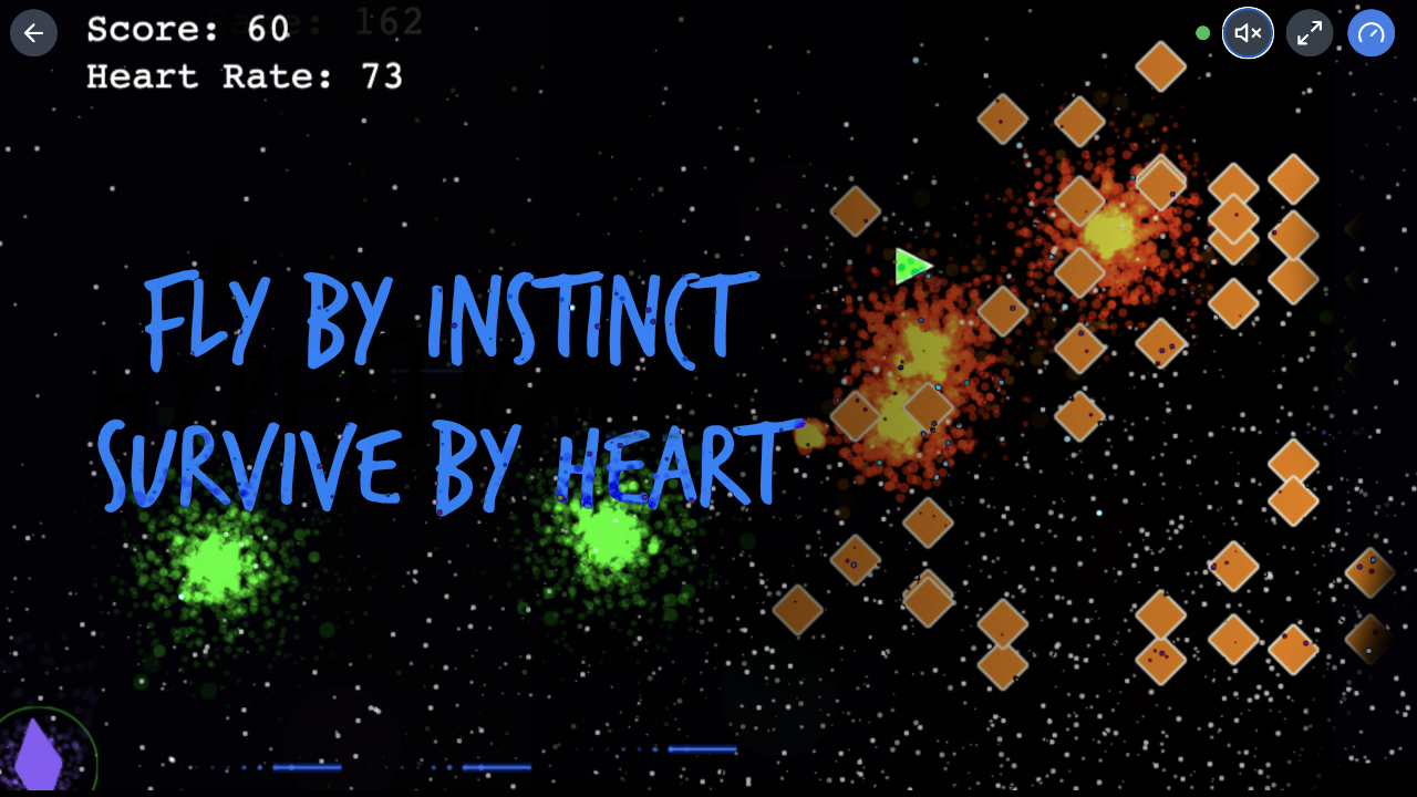 HypeFlight - FLY BY INSTINCT. SURVIVE BY HEART.