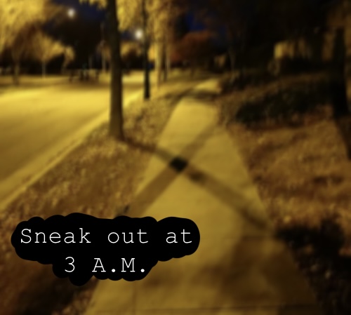 Cover image for Sneak Out at 3 A.M.