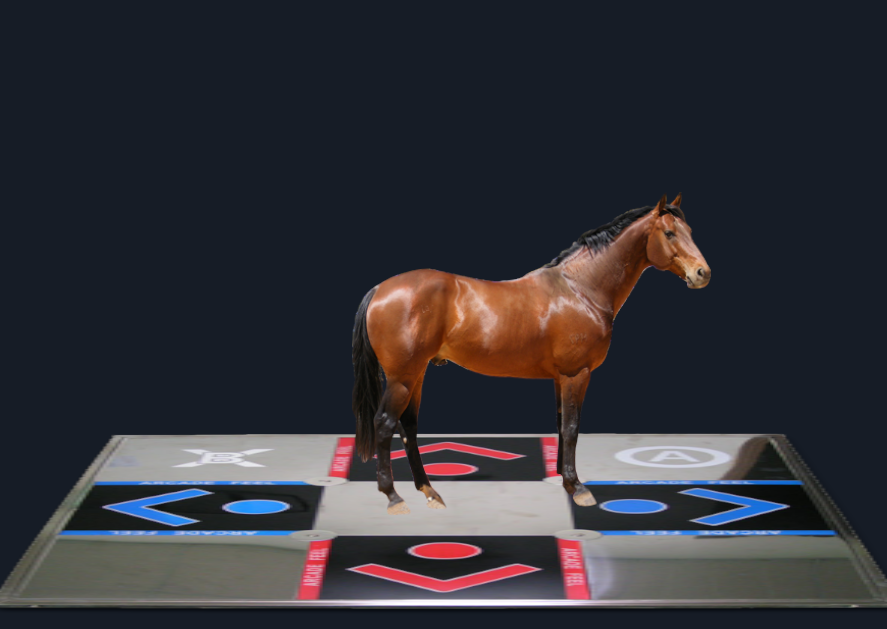 Cover image for Horse Horse Revolution