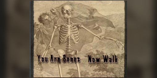 Cover image for You Are Bones, Now Walk