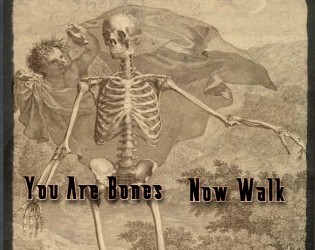 Cover image for You Are Bones, Now Walk