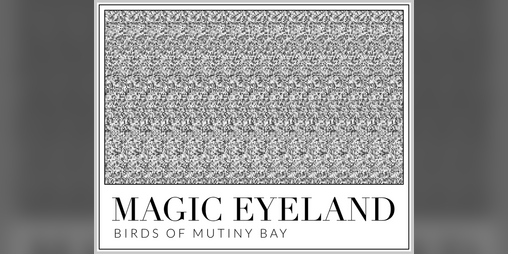 Cover image for Magic Eyeland: Birds of Mutiny Bay
