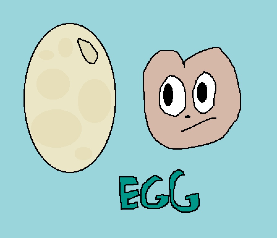 Macn Run: Egg Update!