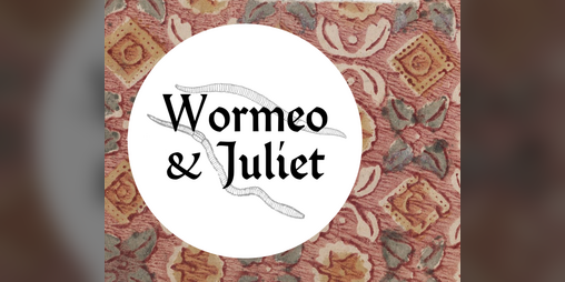 Cover image for Wormeo & Juliet (Jam Version)