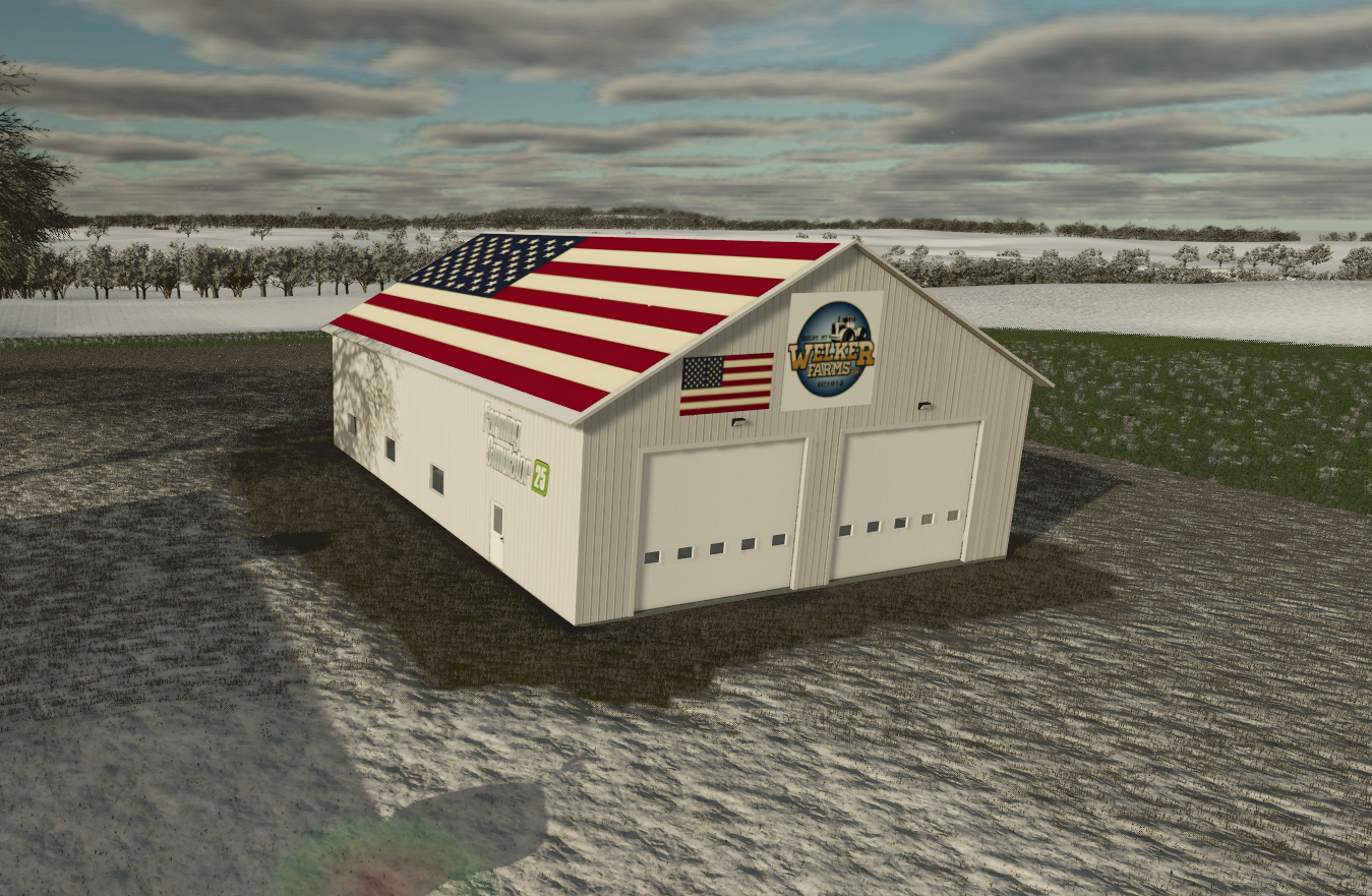 Cover image for American Garage