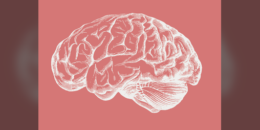Cover image for neuromyths