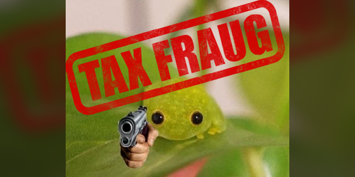 Cover image for Tax Fraug