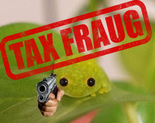 Cover image for Tax Fraug