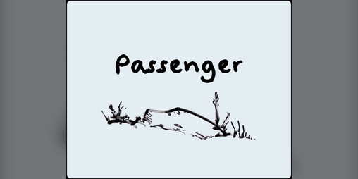 Cover image for Passenger