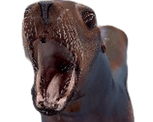 Sea Lion Clicker game screenshot