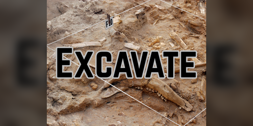 Cover image for Excavate