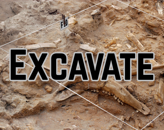Cover image for Excavate
