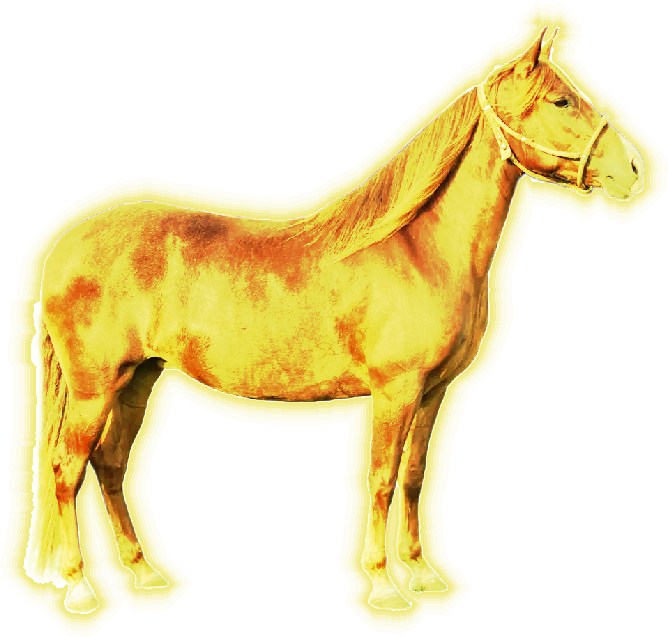 Cover image for Primavera Humilde