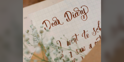 Cover image for Diary of a Provincial Lady