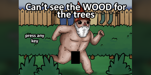 Cover image for Can't See The Wood