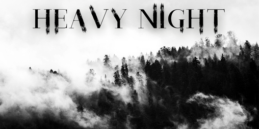 Cover image for Heavy Night