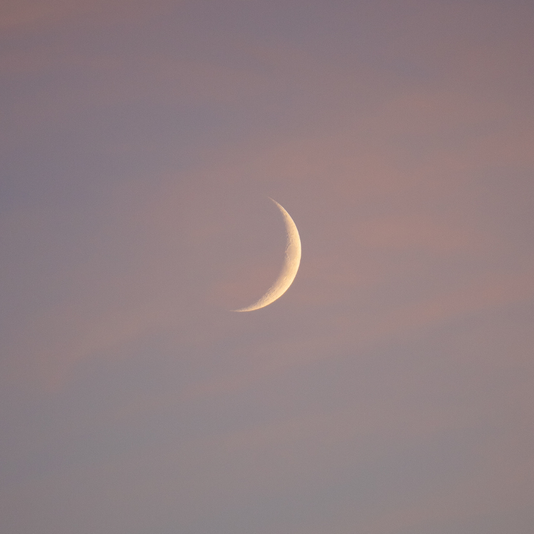 bellamy-crowley.itch.io