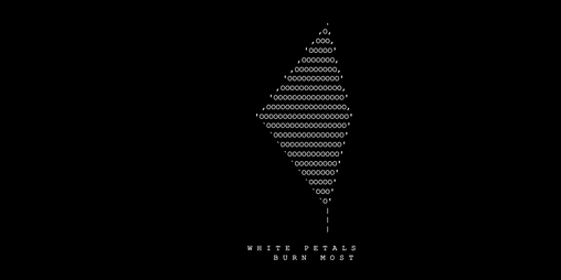 Cover image for White Petals Burn Most