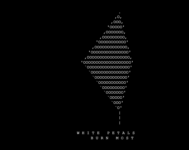 Cover image for White Petals Burn Most