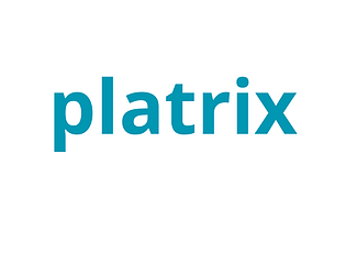 platrix(my first game) game screenshot