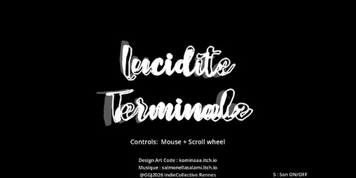 Cover image for Lucidite Terminale