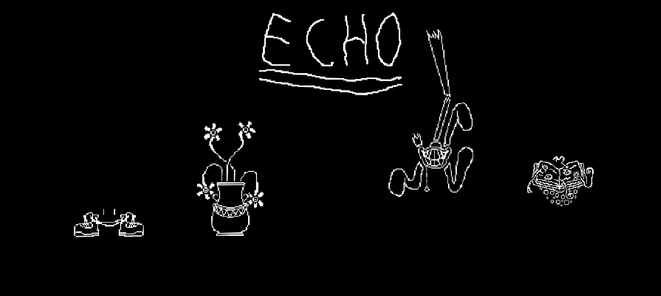 Echo