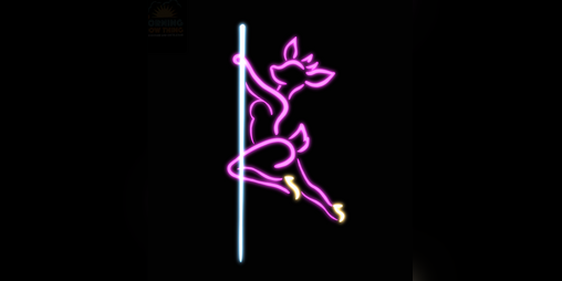 Cover image for Spirited Doe Club