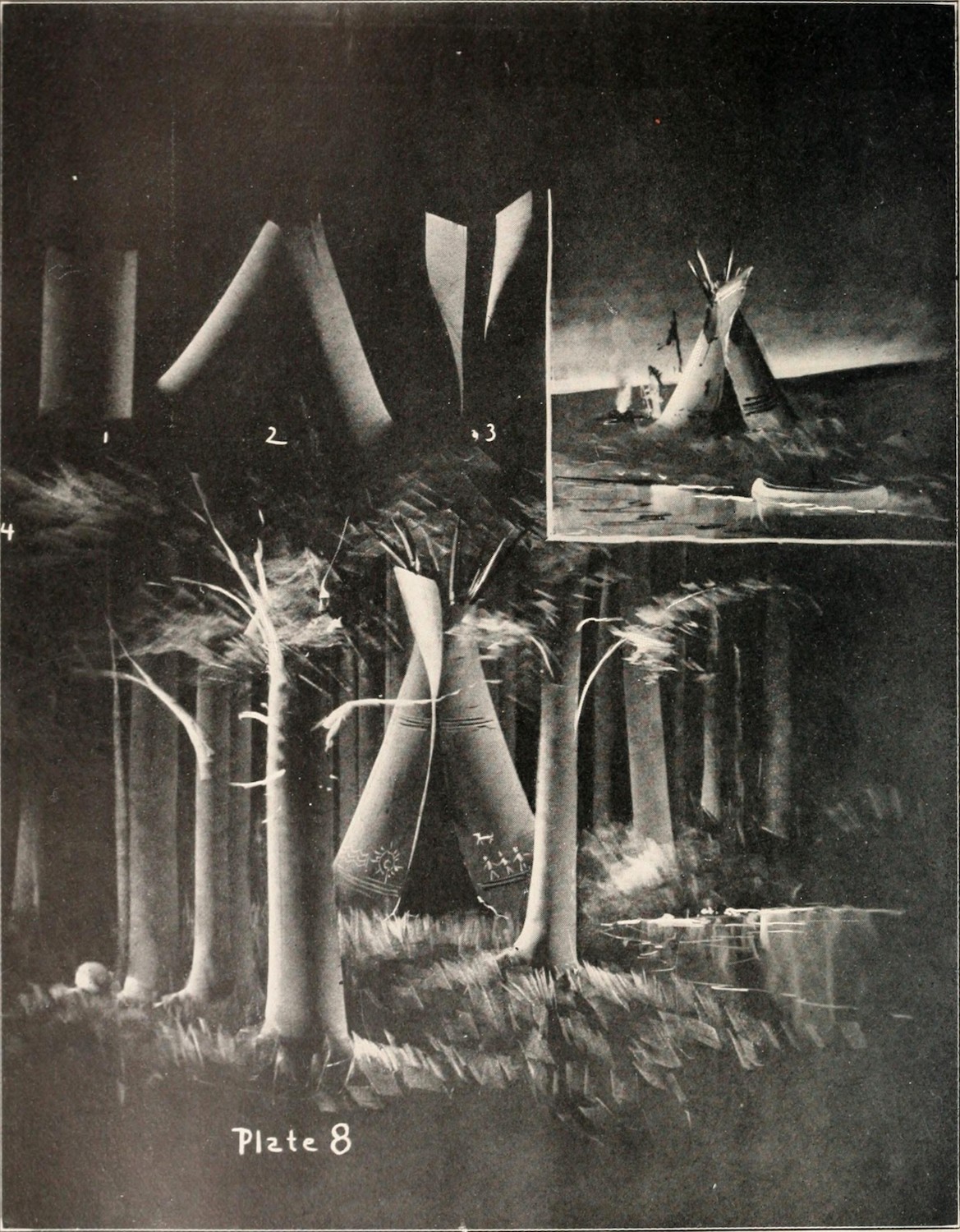 Cover image for Bosques Desconocidos