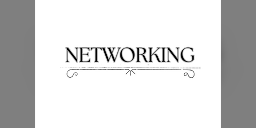 Cover image for Networking