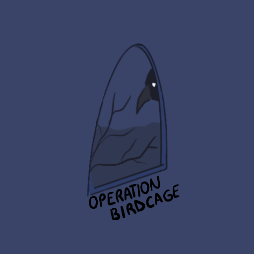 Cover image for Operation Birdcage