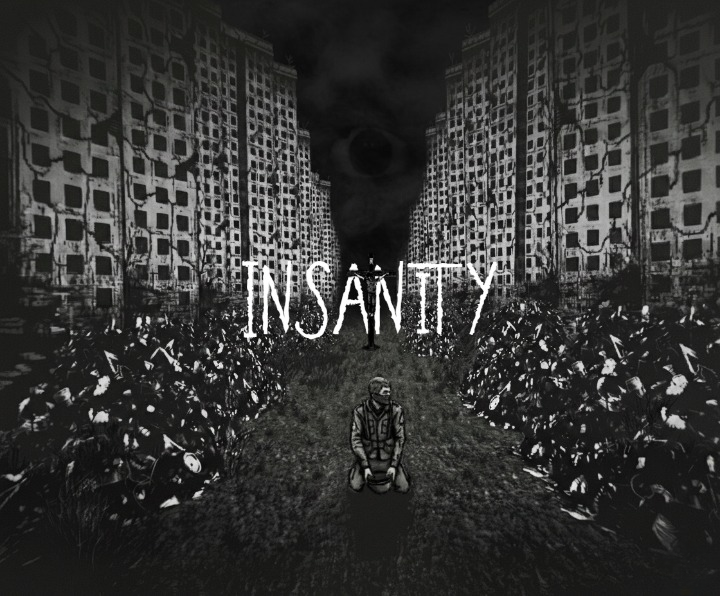 Cover image for INSANITY