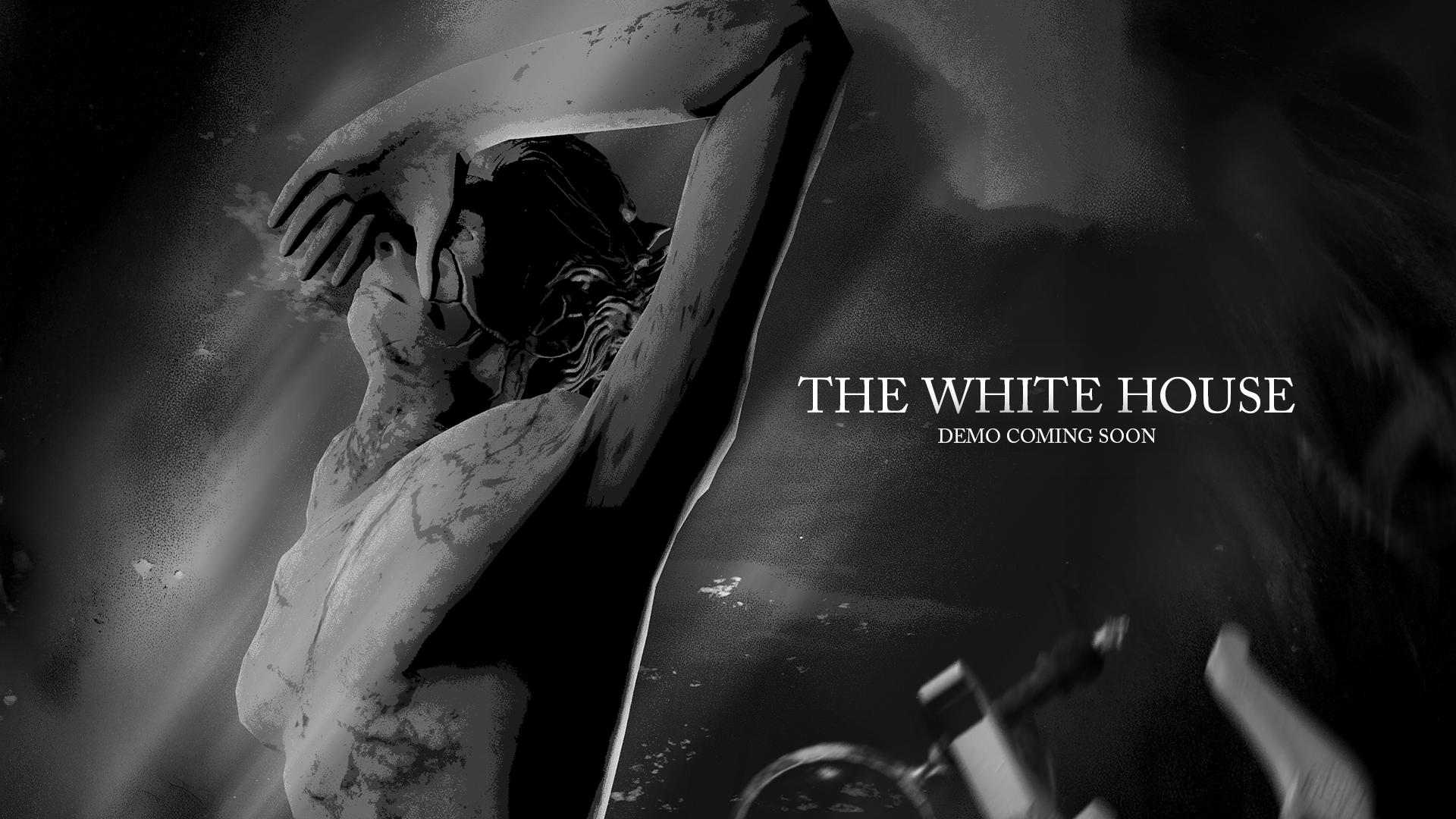 THE WHITE HOUSE cover