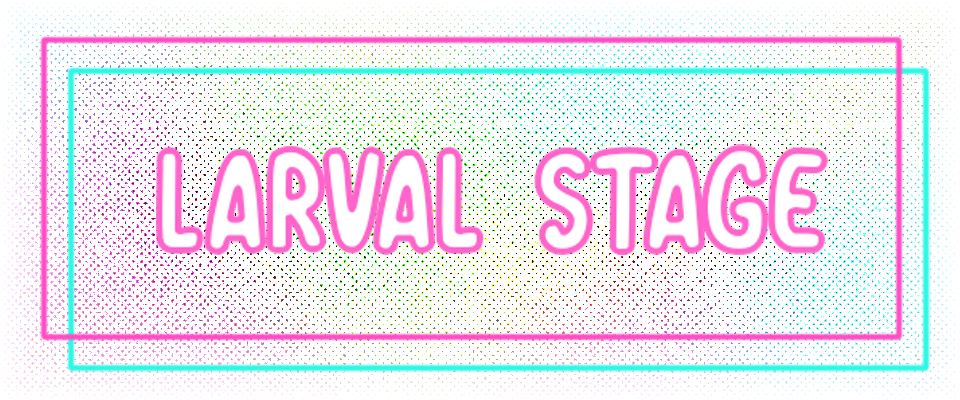 Larval Stage