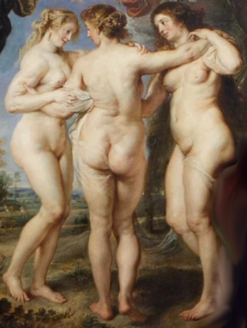 Cover image for The hoop and your butt!