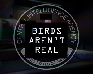 Birds Aren't Real cover