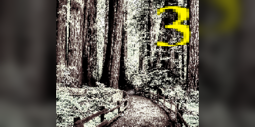 Cover image for project990 #3 ~ "Bloodwood"