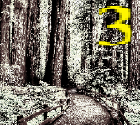 Cover image for project990 #3 ~ "Bloodwood"
