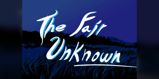 Cover image for The Fair Unknown