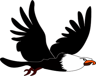 FlappyEagle