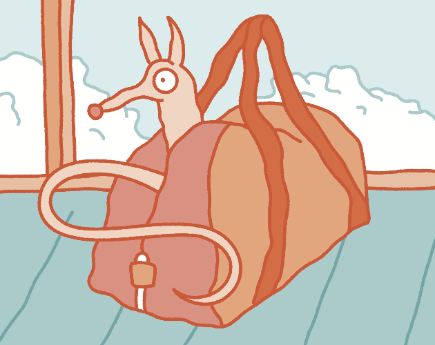 Cover image for Stowaway