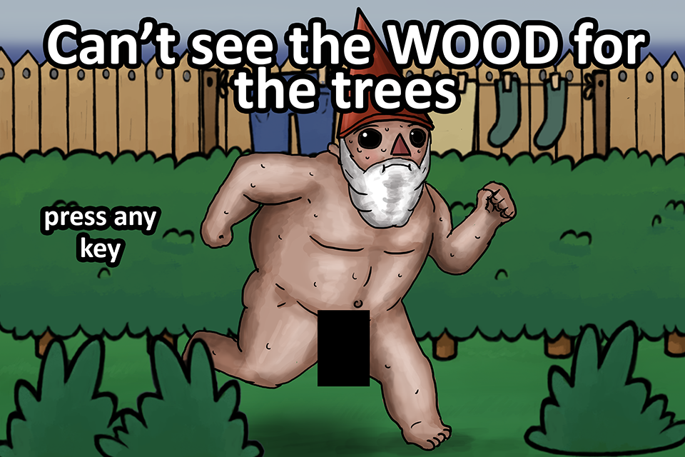 Can't See The Wood