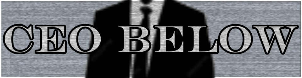 CEO Below