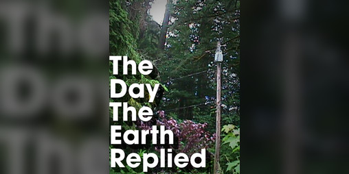 Cover image for The Day the Earth Replied ! revised edition !