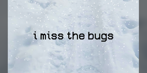 Cover image for i miss the bugs