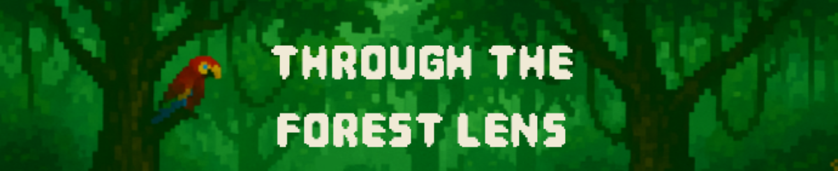 Through the Forest Lens