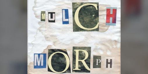 Cover image for MULCH, MORPH, MAGIC