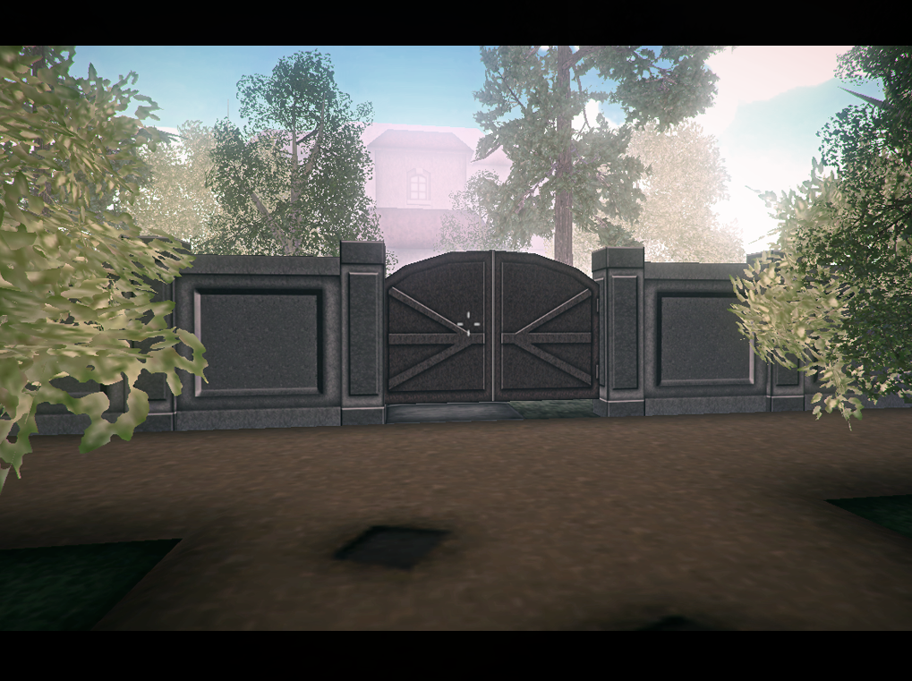 Orphan at the gate