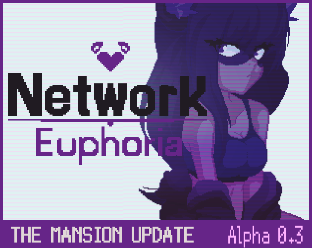 Cover image for Network Euphoria