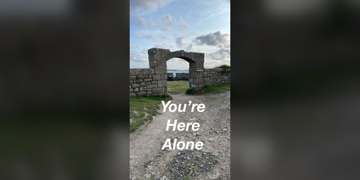 Cover image for You're Here Alone