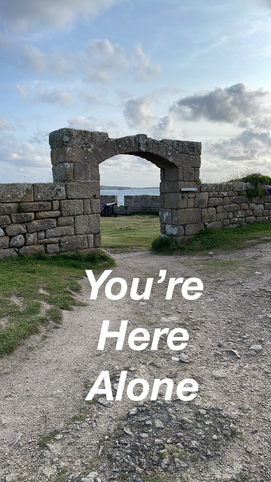 Cover image for You're Here Alone